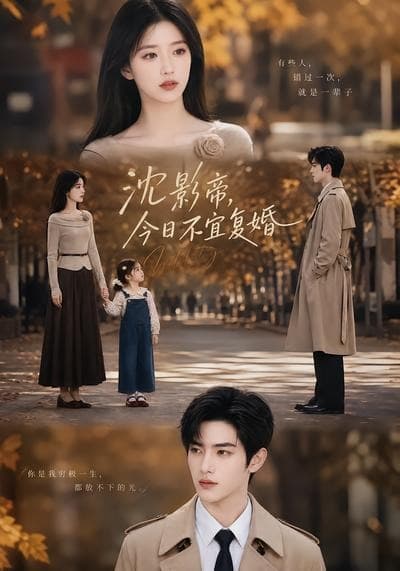 沈影帝，今日不宜复婚海报